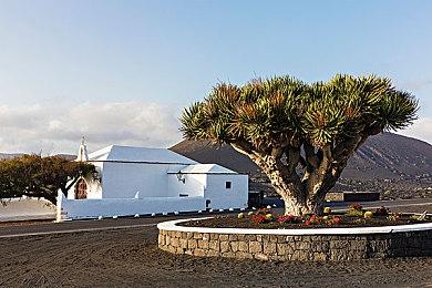 必玩！90%特别好评的肉鸽自走棋天花板续作已上架KK！